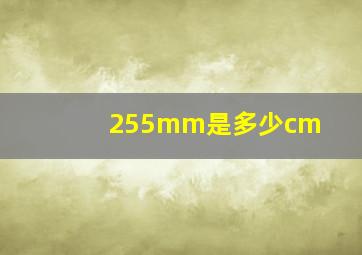 255mm是多少cm