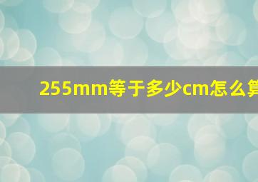 255mm等于多少cm怎么算