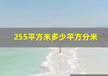 255平方米多少平方分米