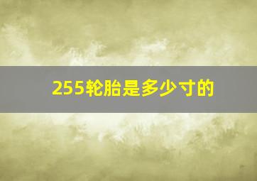 255轮胎是多少寸的