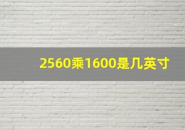 2560乘1600是几英寸