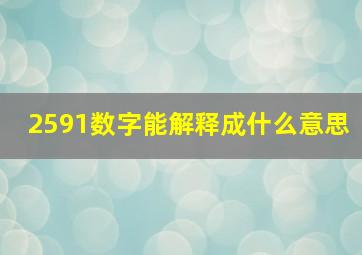 2591数字能解释成什么意思