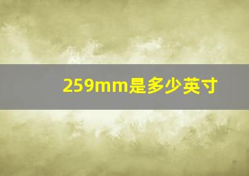 259mm是多少英寸