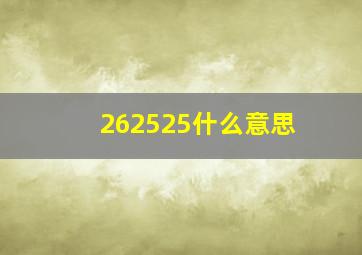 262525什么意思