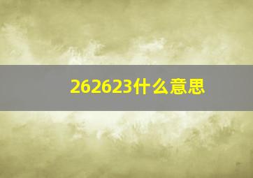 262623什么意思