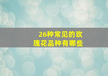 26种常见的玫瑰花品种有哪些