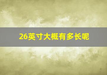 26英寸大概有多长呢