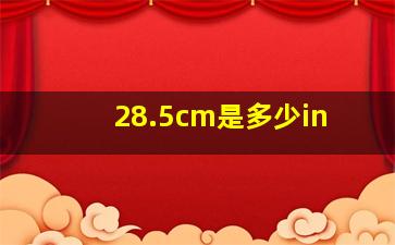 28.5cm是多少in