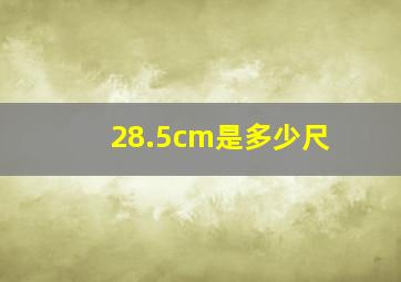 28.5cm是多少尺