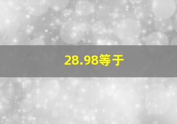 28.98等于