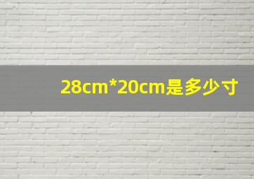 28cm*20cm是多少寸