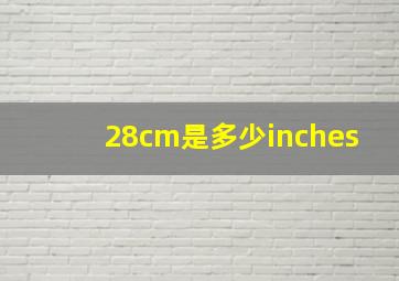 28cm是多少inches