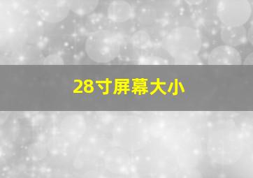 28寸屏幕大小