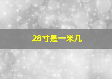 28寸是一米几