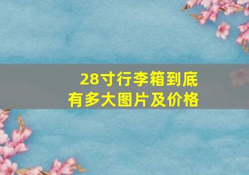 28寸行李箱到底有多大图片及价格