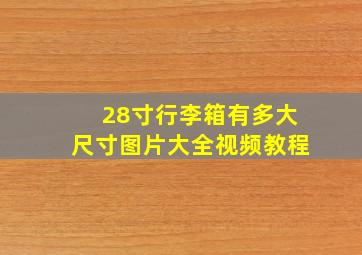 28寸行李箱有多大尺寸图片大全视频教程