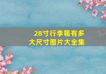 28寸行李箱有多大尺寸图片大全集