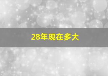 28年现在多大