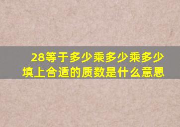 28等于多少乘多少乘多少填上合适的质数是什么意思