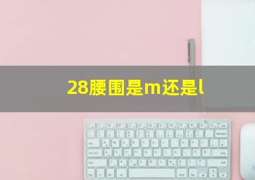 28腰围是m还是l