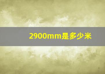 2900mm是多少米