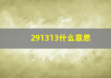 291313什么意思