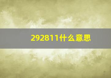 292811什么意思