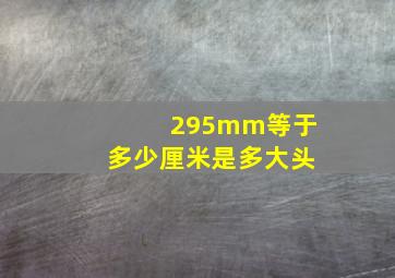 295mm等于多少厘米是多大头