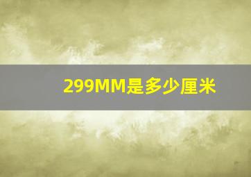 299MM是多少厘米