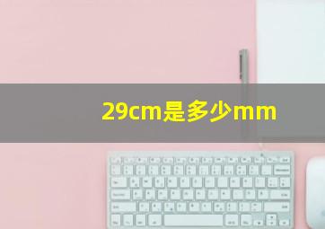 29cm是多少mm