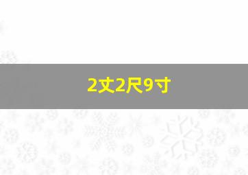 2丈2尺9寸