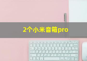 2个小米音箱pro