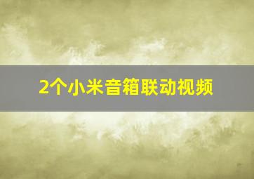 2个小米音箱联动视频