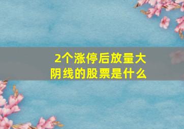 2个涨停后放量大阴线的股票是什么