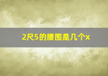 2尺5的腰围是几个x