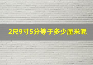 2尺9寸5分等于多少厘米呢