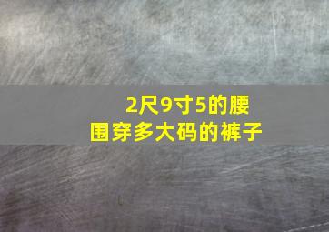 2尺9寸5的腰围穿多大码的裤子