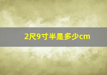 2尺9寸半是多少cm