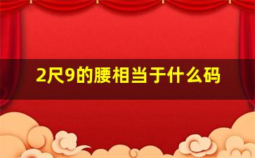 2尺9的腰相当于什么码