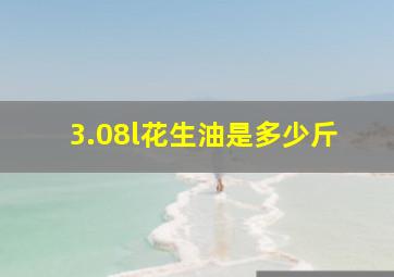 3.08l花生油是多少斤