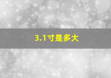 3.1寸是多大