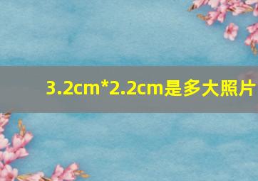 3.2cm*2.2cm是多大照片