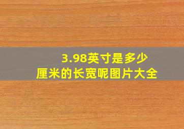 3.98英寸是多少厘米的长宽呢图片大全