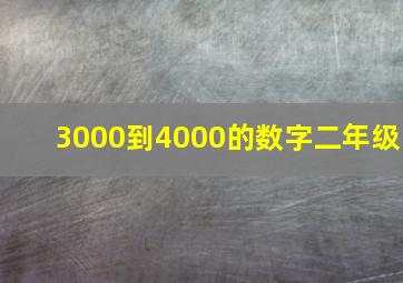 3000到4000的数字二年级