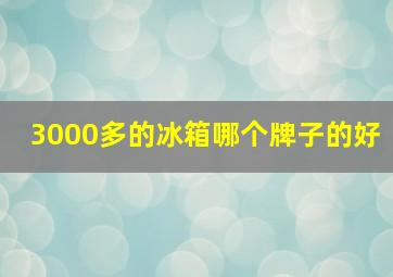 3000多的冰箱哪个牌子的好