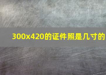 300x420的证件照是几寸的