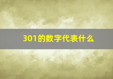 301的数字代表什么