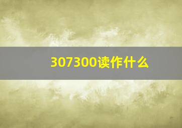 307300读作什么