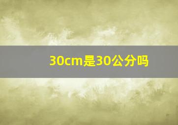 30cm是30公分吗