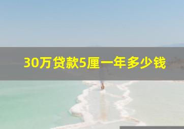 30万贷款5厘一年多少钱